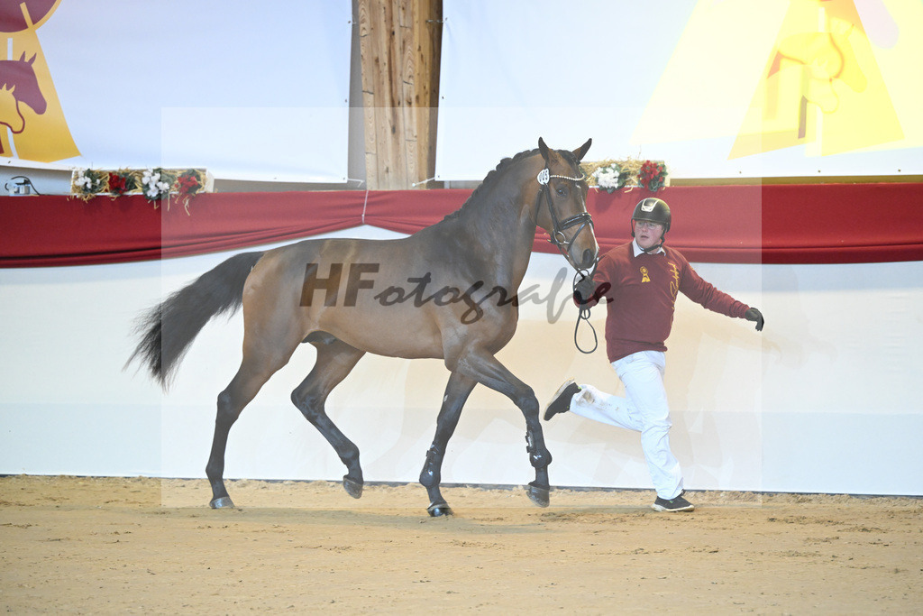 Kat-Nr. 5 Carrera VDL_Schep_1231130 | hf-fotografie - Realisiert mit Pictrs.com