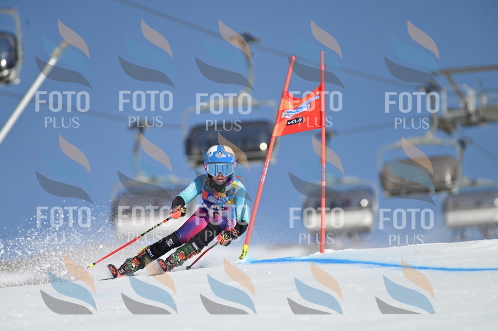 BGV_7555 | holidayphoto