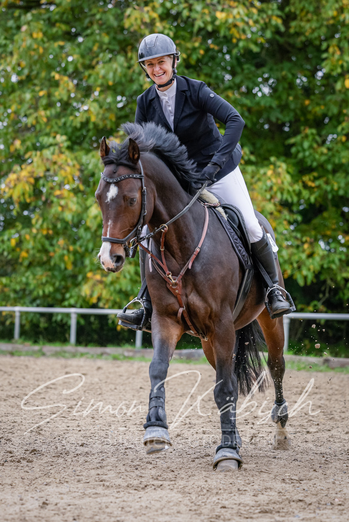 20251012-_3LI4271 | Tierfotografie Pferde, Hunde, Katzen, Haustiere.
Turnierfotografie Reitturniere, Reiten, Springreiten, Dressur in Hanau, dem Main-Kinzig-Kreis und dem Rhein-Main- Gebiet um Frankfurt