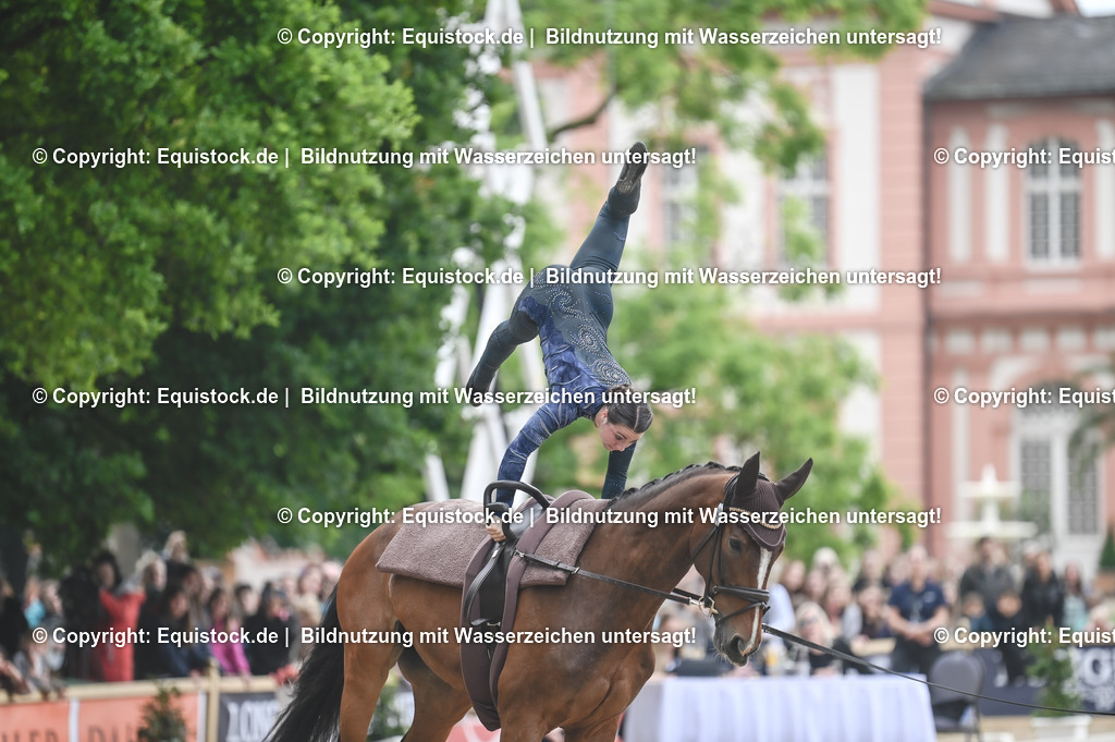 20240519_Voltige_0153 | Foto: Thomas Hartig