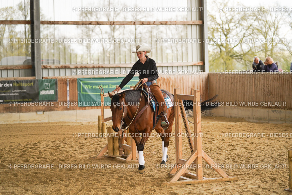 DSC04432 | Pferdegrafie