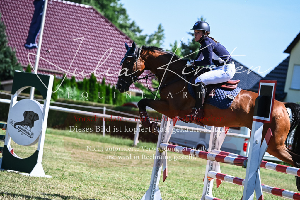 DSC_1371 | Pferde- und Turnierfotografie in Westsachsen. Pferdeportraits, Auftragszeichnungen und intuitive Kunst.