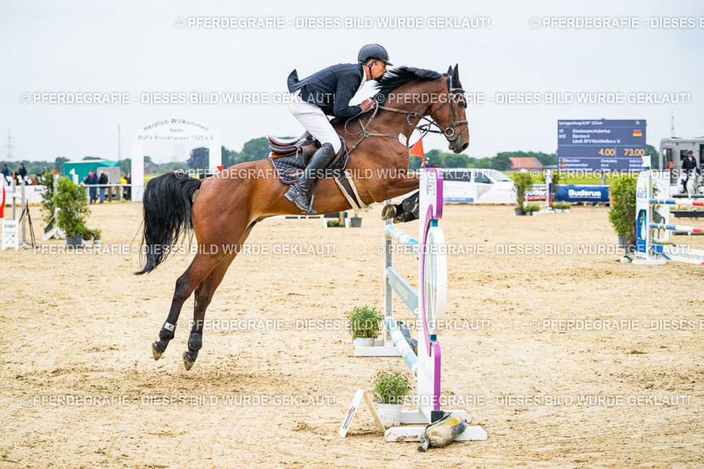 DSC07080 | Pferdegrafie