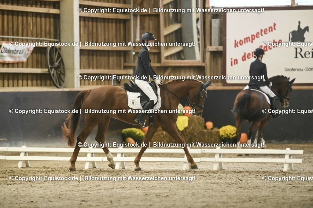20231029_04_Dressur-WB_0090 | Foto: Thomas Hartig