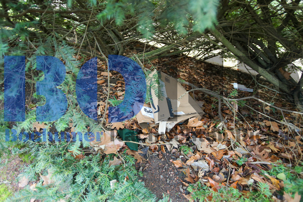  10.12.2020 - 
 | Sebastian Sendlak / Bochumer Nachrichtendienst (BOND) - Bochum Allgemein - Dreck im Stadtpark - Realisiert mit Pictrs.com