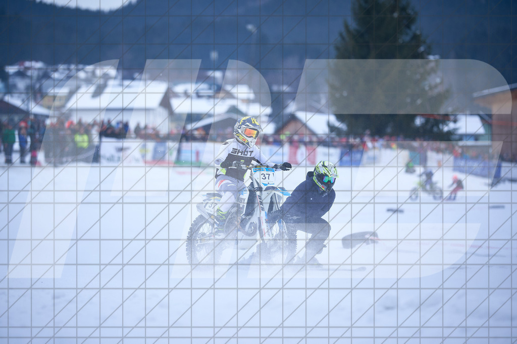 11. Holzknecht Skijöring | Skijöring am 24.01.2026: 11. Holzknecht Skijöring in Gosau am Dachstein, Oberösterreich, ÖsterreichFoto: © 2026 Martin Bihounek | mb-creative.eu