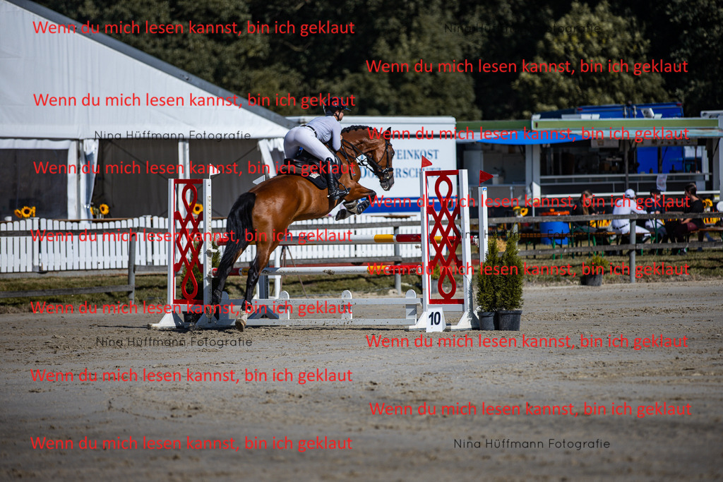 BK1A5725 | Turnierbilder Turnierfotos Nina Hüffmann Turnierfotografie Pferdefotografie Tierzeichnung Haustierzeichnung Pferdezeichnung Hundezeichnung Videograf  - Realisiert mit Pictrs.com