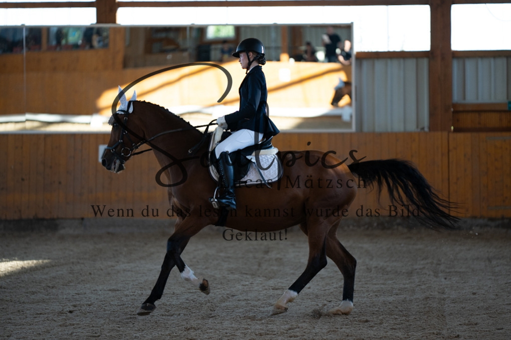A7V01603 | Turnier/Reitfotograf