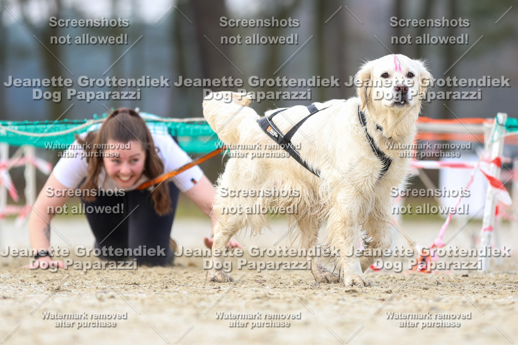 Dog Paparazzi - Strongdog North Mrz26-4012 | Dog Paparazzi Jeanette Grottendiek Fotografie & Videografie - Realisiert mit Pictrs.com