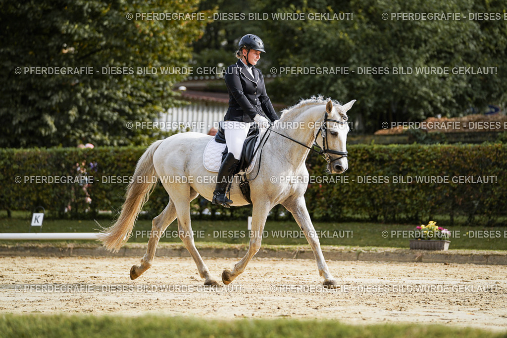 DSC04234 | Pferdegrafie