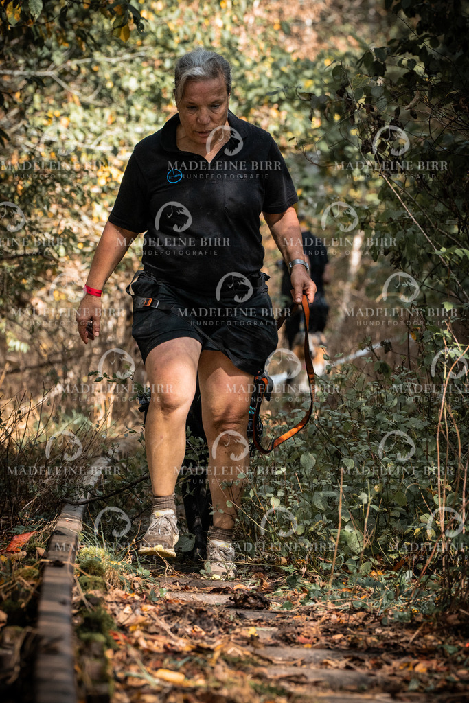 madeleinebirr.fotografie.2026.cc.hunsrueck.12-13Uhr.268 | hundefotografie-birr