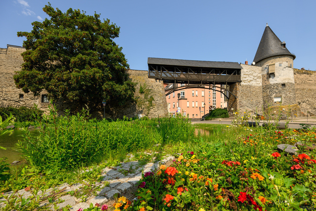 20250812-NZ8_1054 | Online Foto-Shop von André Engelhardt, Filmemacher und Fotograf. Fine Art Prints, Kunstdrucke, Fotogeschenke, Souvenirs von Mosel, Rhein und mehr. 