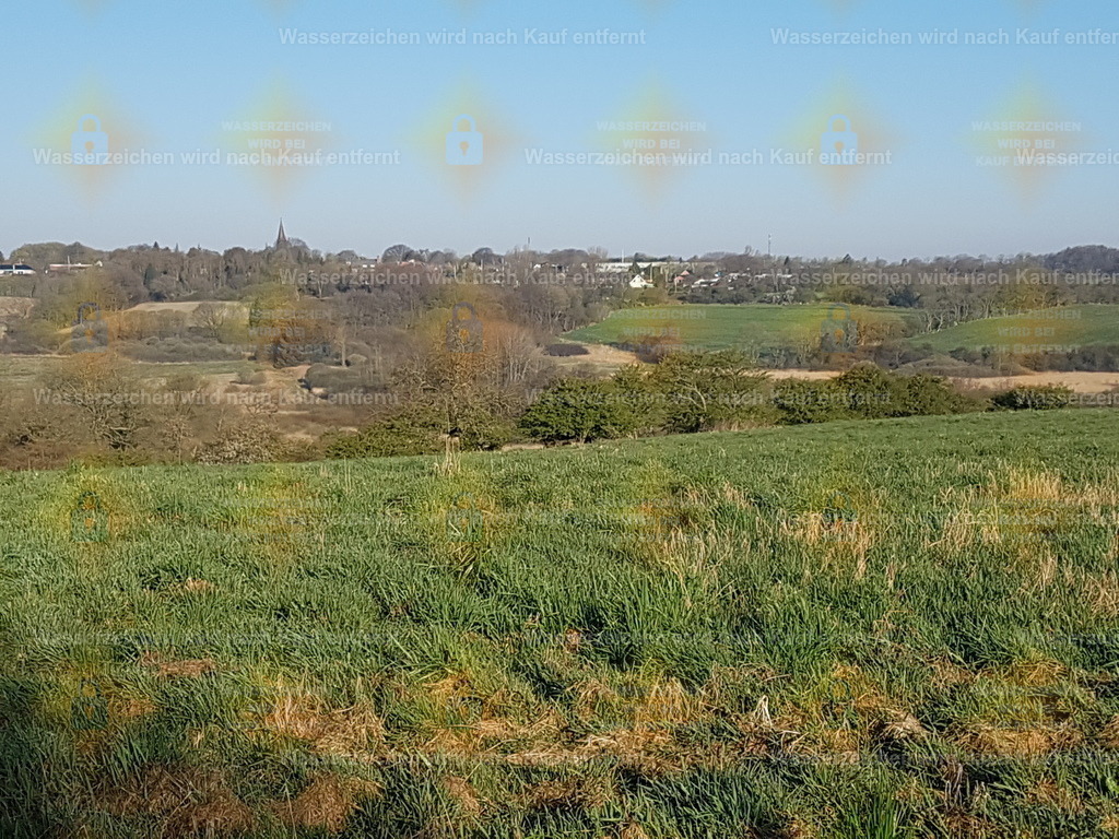 20220421_075401 | Fotoseite Wolkenblende - Das Hobby fotografieren begleitet mich schon  viele  Jahre. Auf den nächsten Seiten zeige ich ein paar Schnappschüsse der letzten Jahre und es kommen immer neue hinzu. Schau einfach mal rein. - Realisiert mit Pictrs.com
