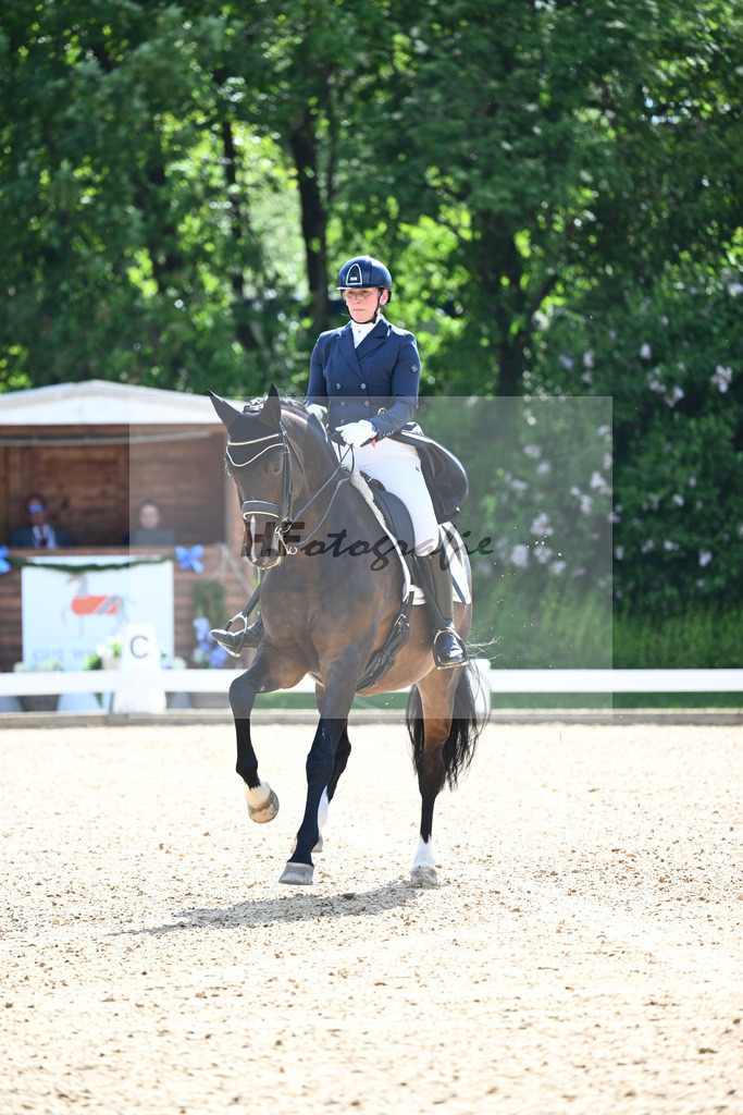 Balkenhol_Statement_12244655 | hf-fotografie - Realisiert mit Pictrs.com