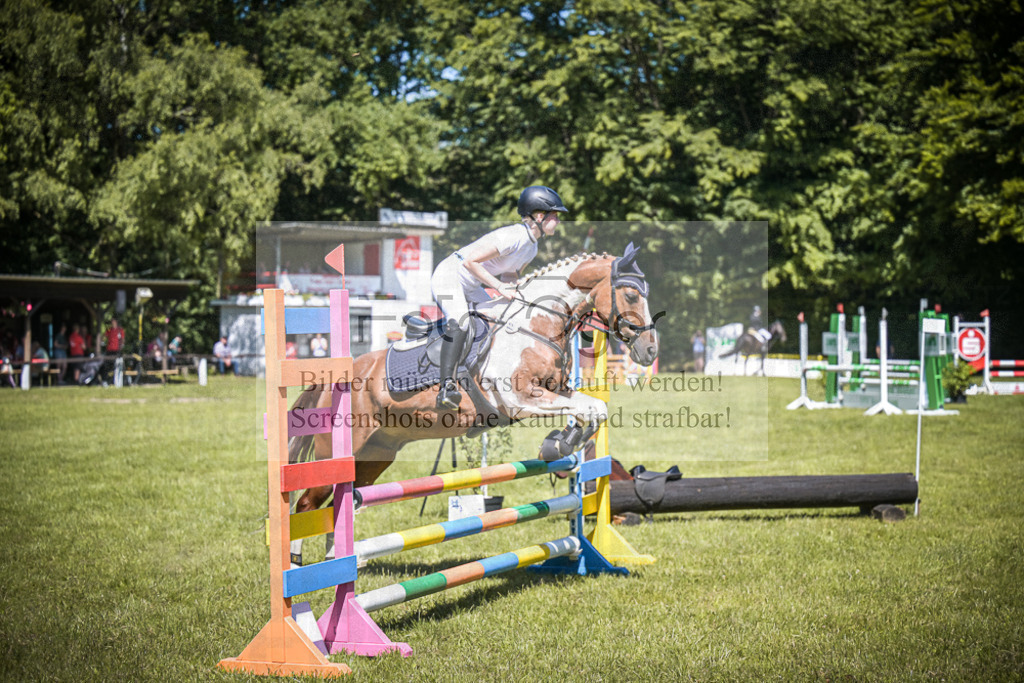 DOS_3189 | Entdecke hochwertige Reitturnierfotos von Foto Oger. Professionell, emotional und authentisch – jetzt Lieblingsmomente im Shop bestellen.Deutschlandweite Turnierfotografie. - Realisiert mit Pictrs.com