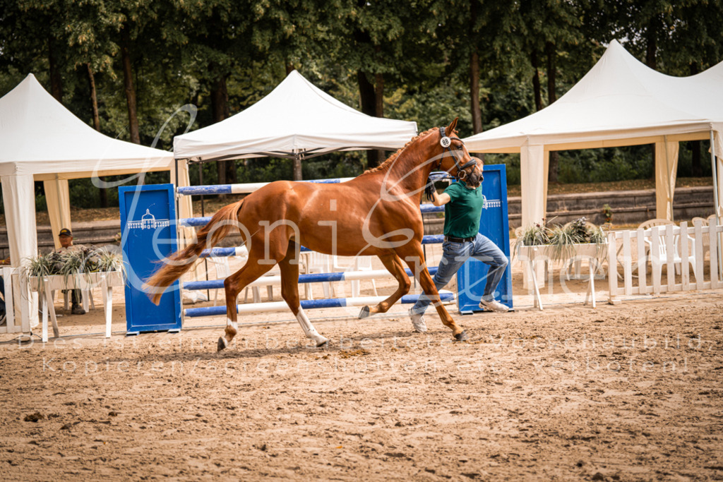 5.Fr00088 | Leoni Ertmer Photography - Realisiert mit Pictrs.com