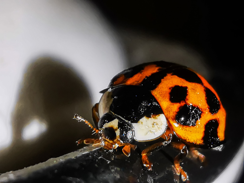 PSX_20230221_225924 | mtkfoto_ - Realisiert mit Pictrs.com