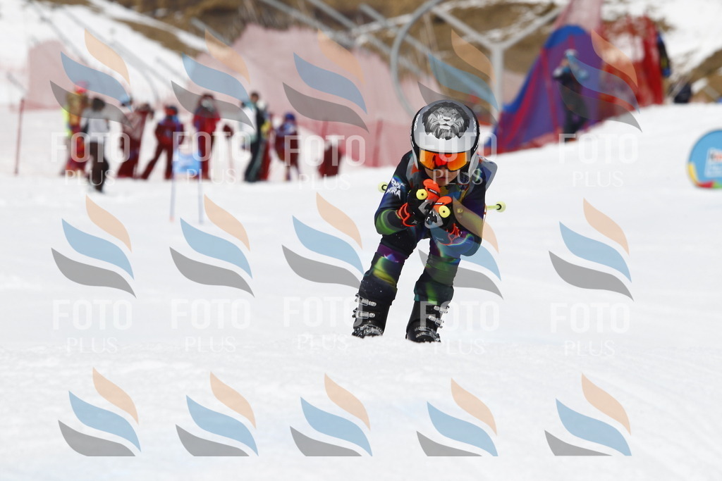 _U3G8064 | holidayphoto