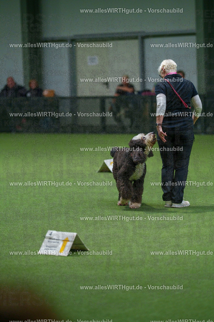 7R508055 | Professionelle Tierfotografie in Mönchengladbach von Daniel Wirth (allesWIRTHgut). Liebevolle & natürliche Bilder von Hunden & Katzen für unvergessliche Erinnerungen.
