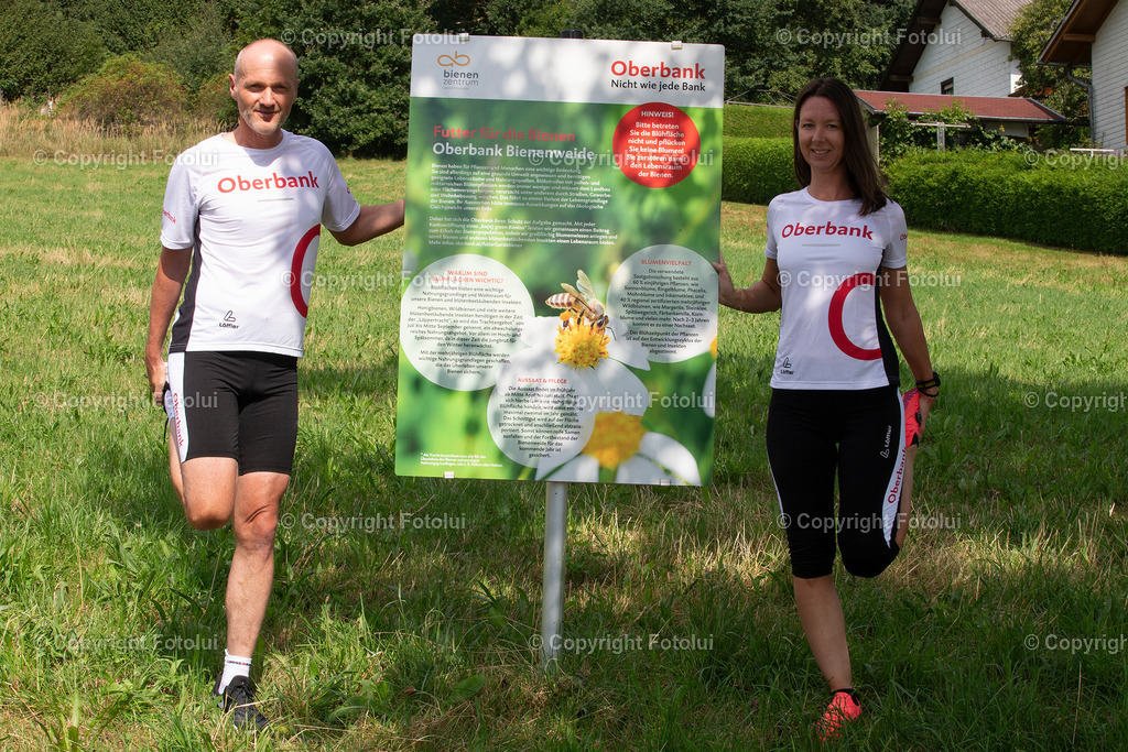 OBERBANKBIENENWIESE_260822_04 | bilder, linz, photo, foto, fussball, sport, fotolui, bundesliga