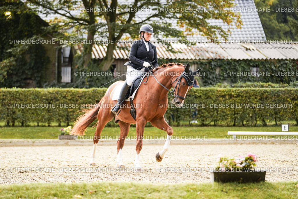 DSC01361 | Pferdegrafie