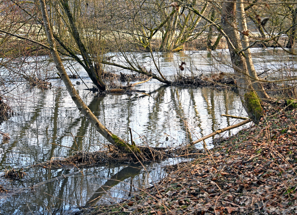 Werra01-1 | lucisnaturbilder - Realisiert mit Pictrs.com