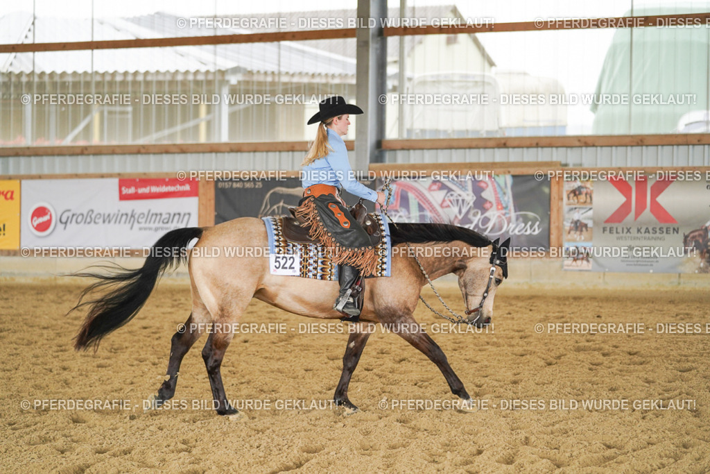 DSC03446 | Pferdegrafie