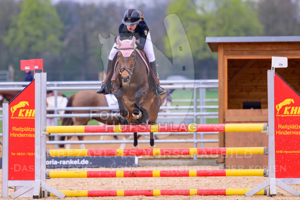 10042026-Mammendorf-Prfg16-0599 | Fokus Hufschlag Fotografie - Realisiert mit Pictrs.com