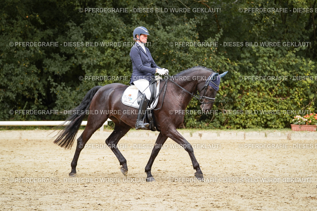 DSC01122 | Pferdegrafie