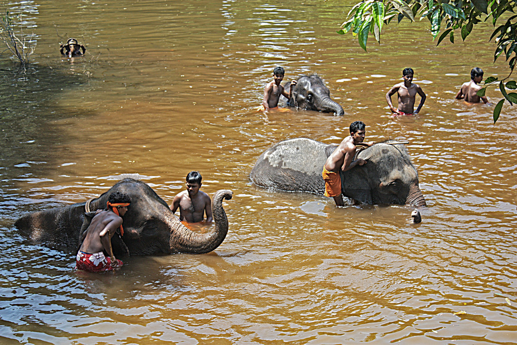 Goa 030a | ansichtssache