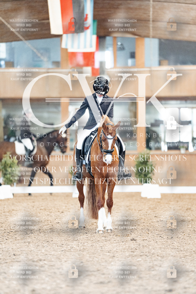 CK908884 | Turnierfotografie Pferdefotografie Trier Rheinland-Pfalz Pferdesport Reitsport Tierfotografie Sportfotografie Pferdevideo Pferdevideografie Equestrianvideography equestrianphotography  - Realisiert mit Pictrs.com