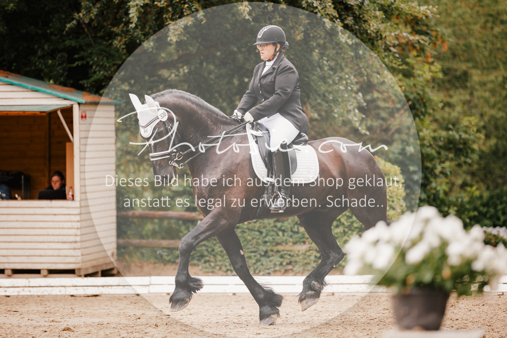 3I6A7754 | Stimmungsvolle Portraits und Reitsportfotografie im Ruhrgebiet und im Münsterland.

Pferdefotografie, Hundefotografie, Tierfotografie, Reportagen, Portraits von Tier und Mensch, Turnierfotografie in Bochum, Recklinghausen, Marl, Haltern am See, Dülmen.. - Realisiert mit Pictrs.com