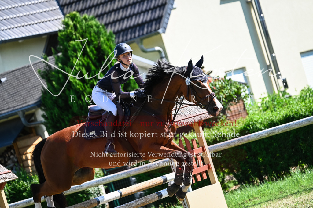 DSC_1617 | Pferde- und Turnierfotografie in Westsachsen. Pferdeportraits, Auftragszeichnungen und intuitive Kunst.