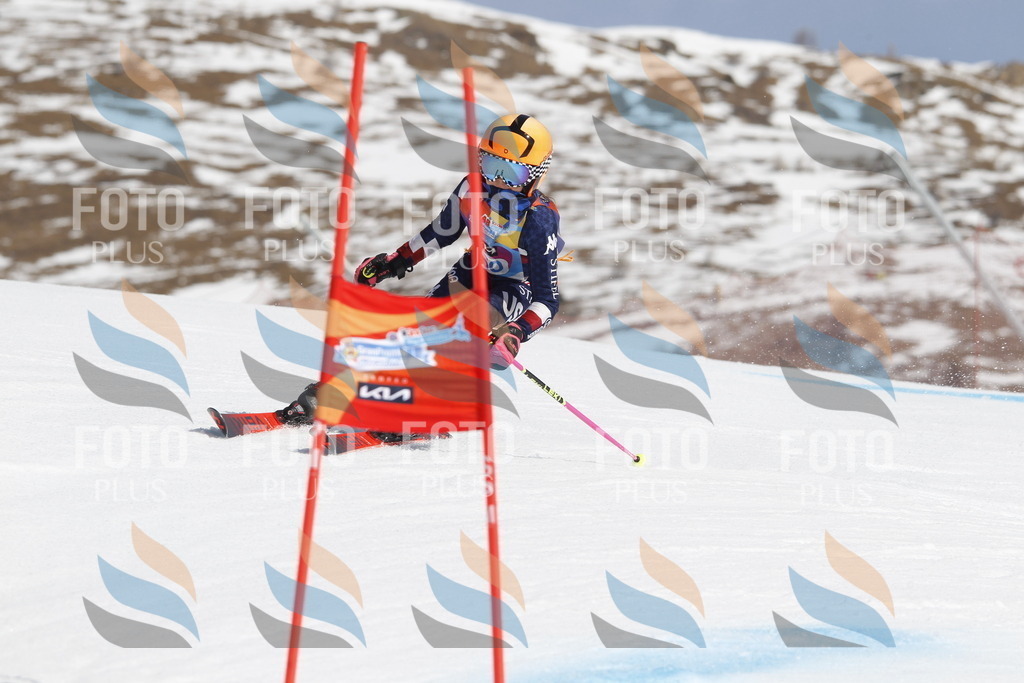 _U3G1222 | holidayphoto