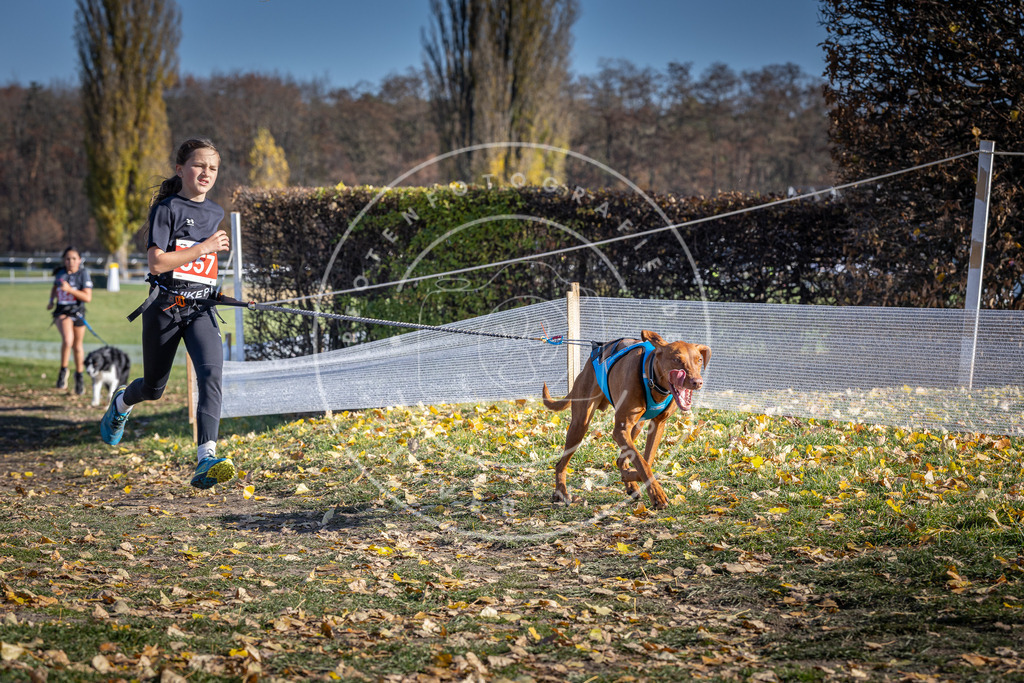 CaniXpix_DV3A8586 | Hundefotografie, Tierfotograf, Pfotenfotografie, Fotoshooting Hund, Hunde Portrait, Hundesport, Hundeportraits, Heideshooting, Hunde, Sportfotograf, Hundefotograf, Turnierhundsport, THS,  - Realisiert mit Pictrs.com
