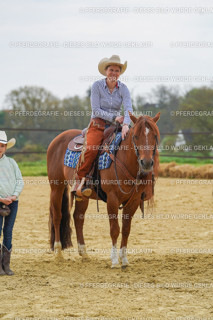 DSC07841 | Pferdegrafie