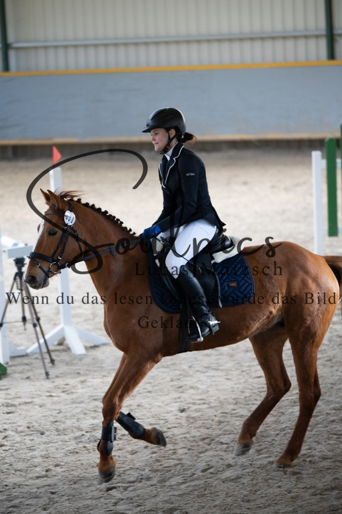 A7V01992 | Pferdefotograf