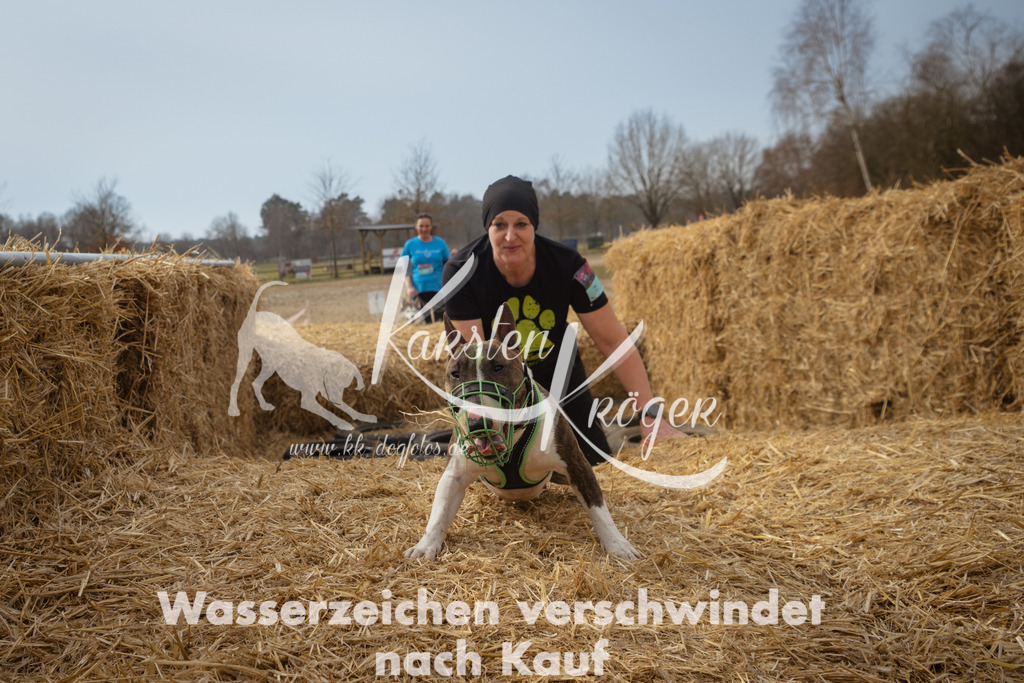 1134_ZZ94501 | kk-dogfotos
