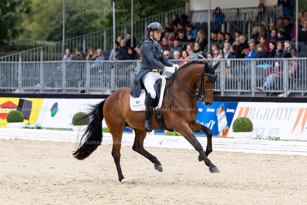 TH_311-CARRASCOSA Borja (GER)_ Franky Di Fonteabeti_21806 | CHI Donaueschingen 2024 am 14.09.24 in Donaueschingen, 311CARRASCOSA Borja (GER), Franky Di Fonteabeti