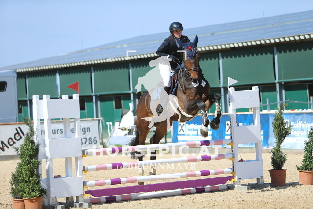 DL2Q3154 | Willkommen bei Brunnmayr - Design & Fotografie – Ihrem Spezialisten für Reitturniere und Pferdeveranstaltungen in Oberösterreich, Salzburg und Bayern! Seit über 17 Jahren sind wir leidenschaftlich dabei.