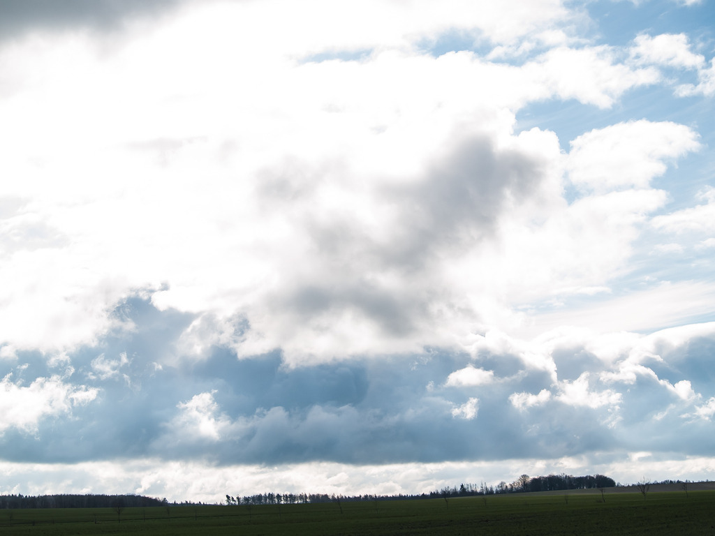 PSX_20230204_231705 | OLYMPUS DIGITAL CAMERA - Realisiert mit Pictrs.com