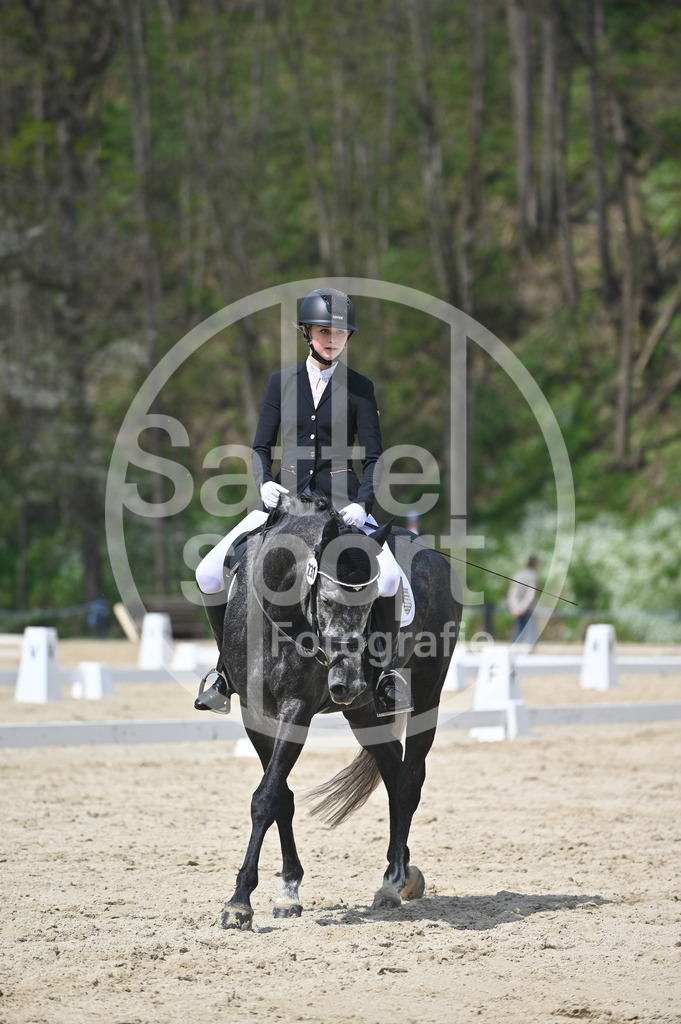 DSC_2249 | sattelsport - Realisiert mit Pictrs.com