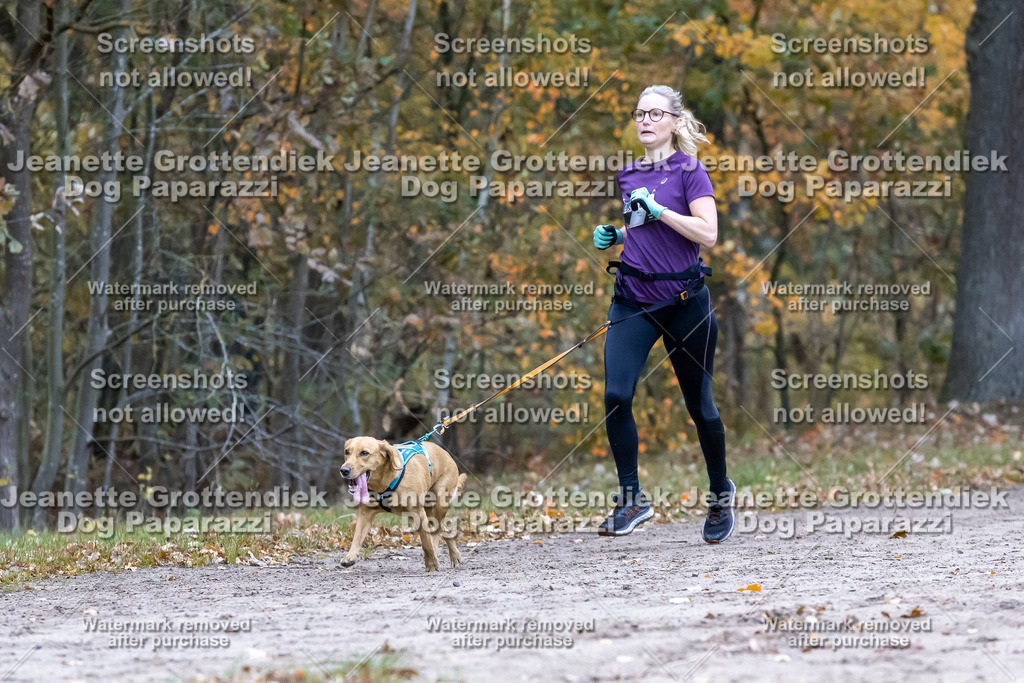 Dog Paparazzi - SD CaniX Championship 2025-354 | Dog Paparazzi Jeanette Grottendiek Fotografie & Videografie - Realisiert mit Pictrs.com