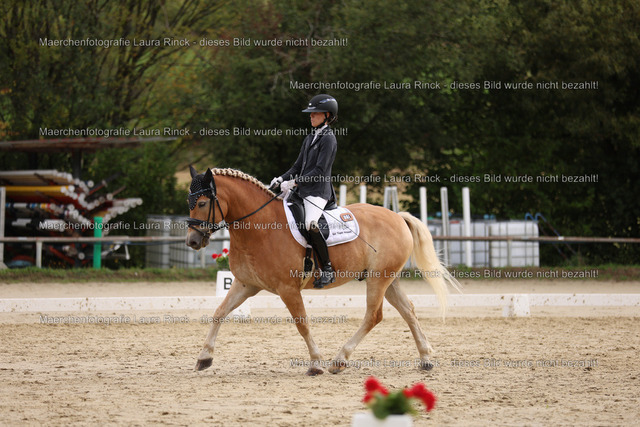 HG9A0454 | laurarinckfotografie - Realisiert mit Pictrs.com