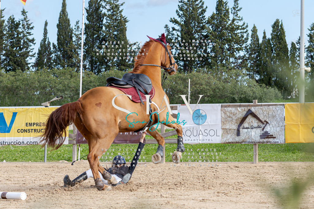 IMG_3643 | s-jay-photography - Realisiert mit Pictrs.com