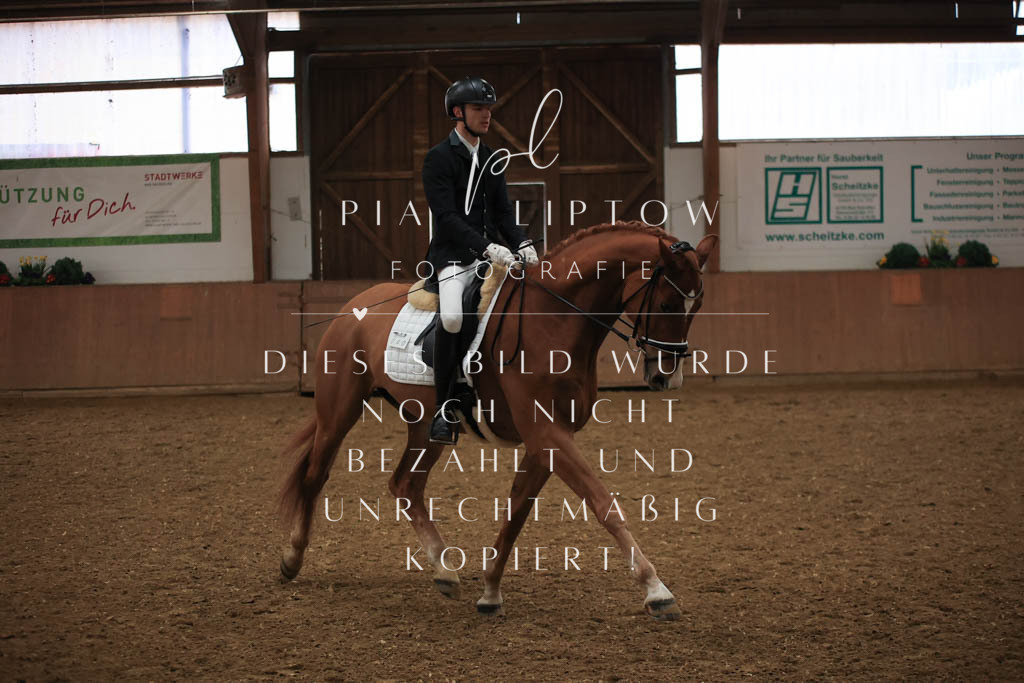 IMGT6906 | pl-fotografie