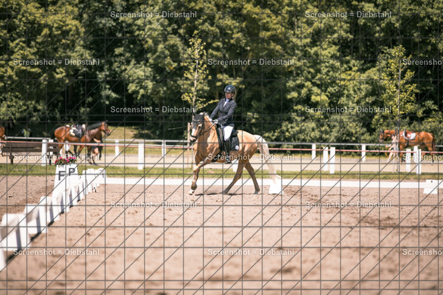 _W6A2481 | ronjaprokoschfotografie - Realisiert mit Pictrs.com