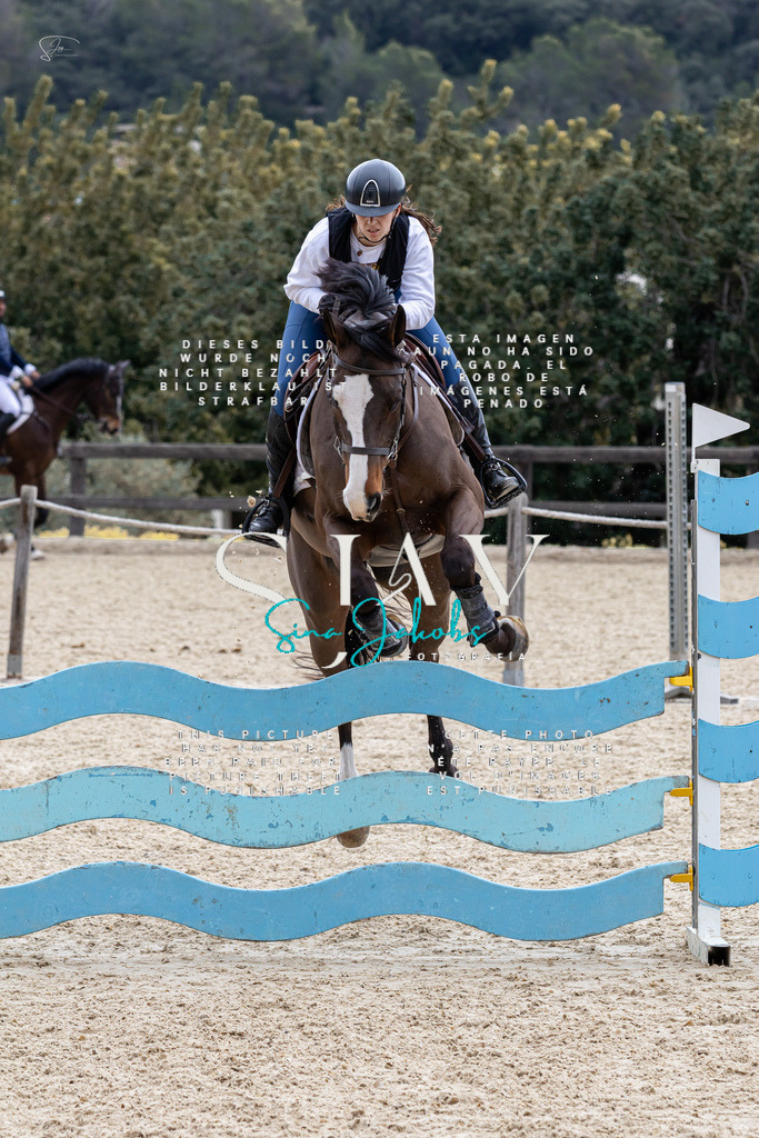 IMG_4060 | s-jay-photography - Realisiert mit Pictrs.com