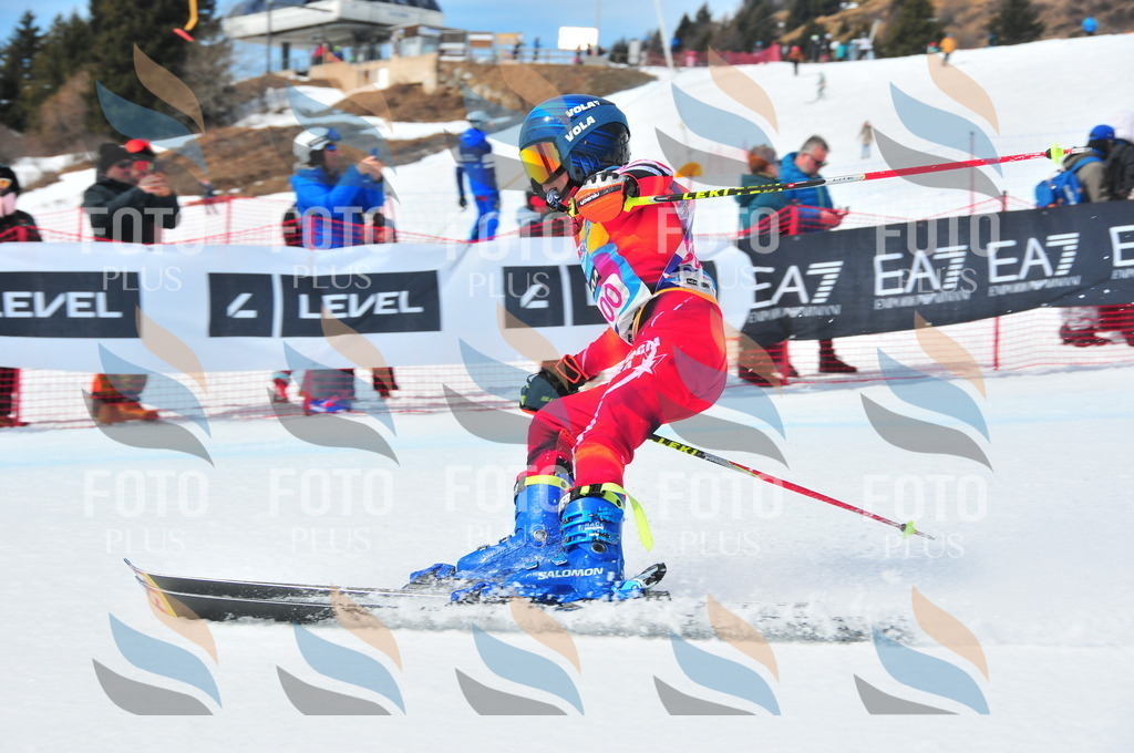 DSC_6553 | holidayphoto