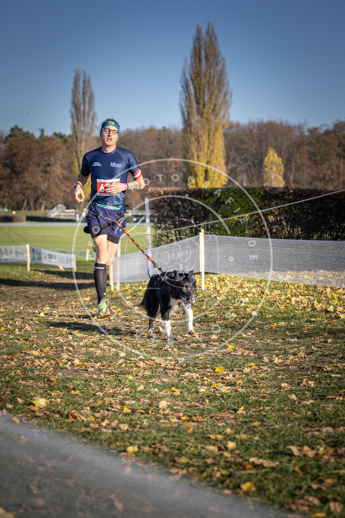 CaniXpix_DV3A0891 | Hundefotografie, Tierfotograf, Pfotenfotografie, Fotoshooting Hund, Hunde Portrait, Hundesport, Hundeportraits, Heideshooting, Hunde, Sportfotograf, Hundefotograf, Turnierhundsport, THS,  - Realisiert mit Pictrs.com